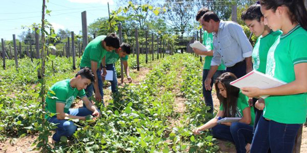 ESCUELAS AGRÍCOLAS Y AGROMECÁNICAS DEL PAÍS INICIAN INSCRIPCIONES ...