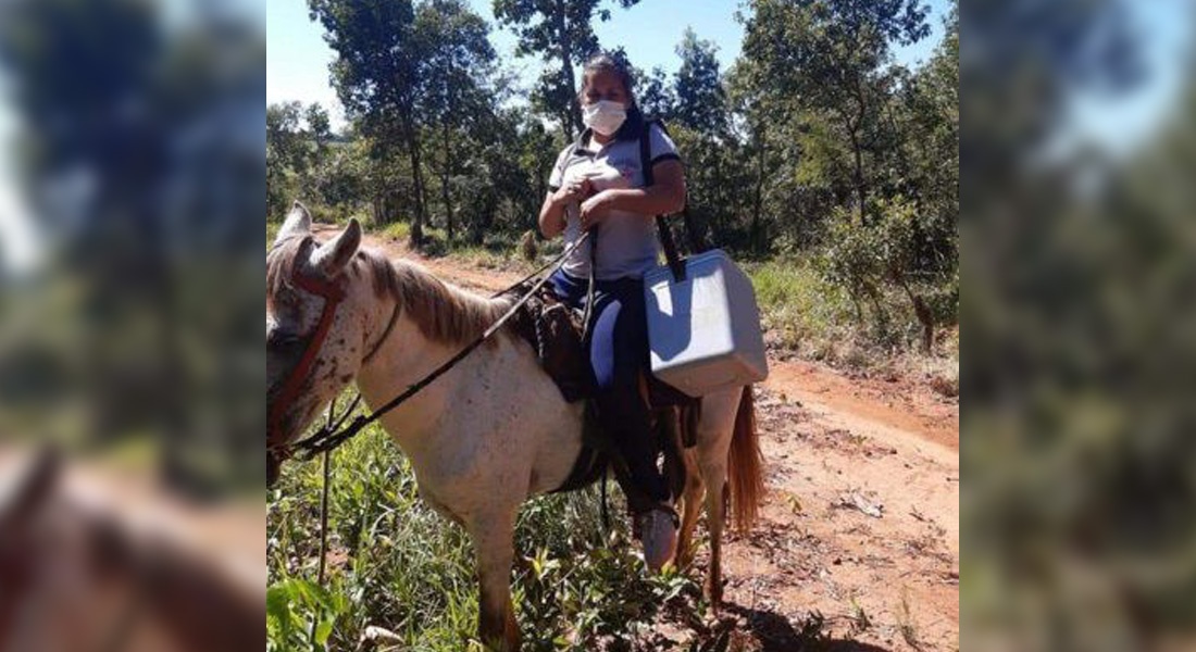 Se Regala Caballo Por No Poder Atender