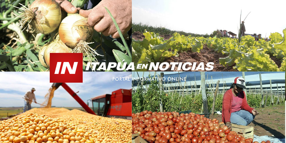 ITAPÚA BUSCA EQUILIBRAR OFERTA Y DEMANDA EN EL SECTOR PRODUCTIVO