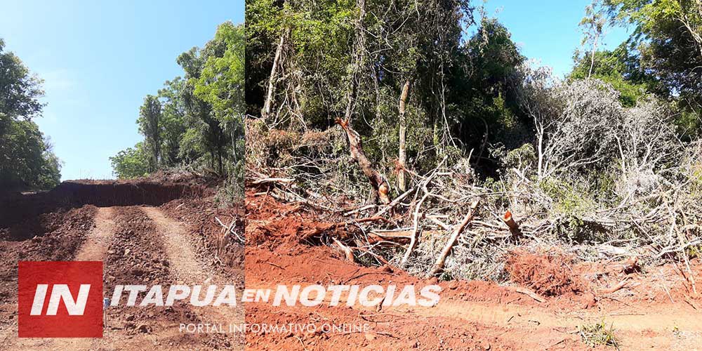 INSÓLITO: DENUNCIAN QUE LA MUNICIPALIDAD DE TOMÁS R. PEREIRA HABRÍA HURTADO RIPIOS DE UNA PROPIEDAD PRIVADA