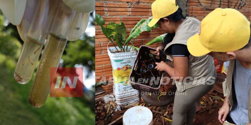 SENEPA INTENSIFICA ACCIONES CONTRA ARBOVIROSIS Y OTRAS ENFERMEDADES VECTORIALES SENEPA INTENSIFICA ACCIONES CONTRA ARBOVIROSIS Y OTRAS ENFERMEDADES VECTORIALES