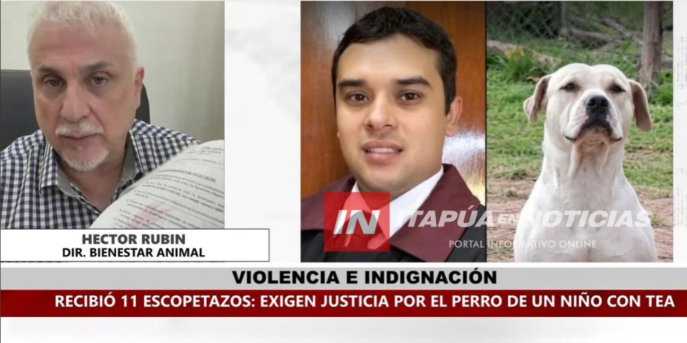 CASO POLAR: PIDEN HALLAR EL CUERPO DEL PERRO BALEADO