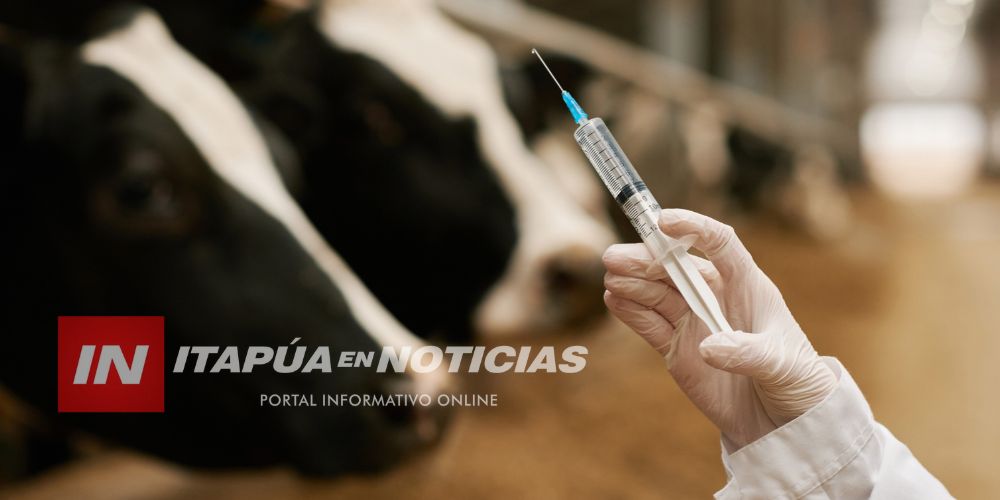 FRANCIA DETECTA EL PRIMER CASO HUMANO DEL VIRUS SHAMONDA